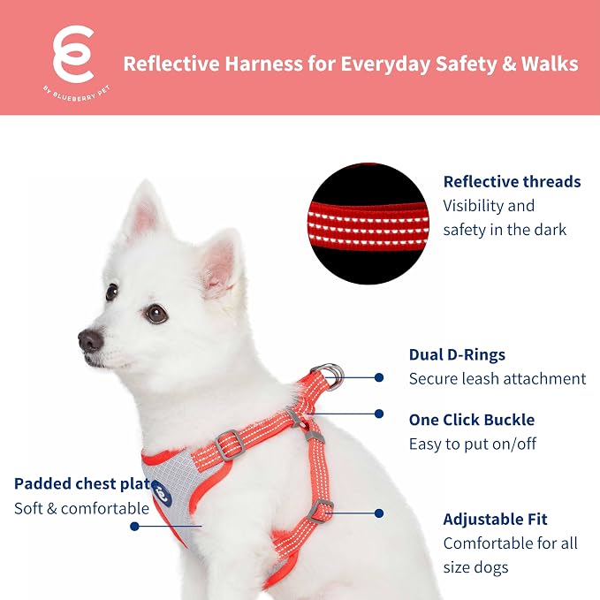 Blueberry Pet Essentials Back to Basics Reflective Dog Harness Vest, Fiery Red, Large, Adjustable Harnesses for Dogs
