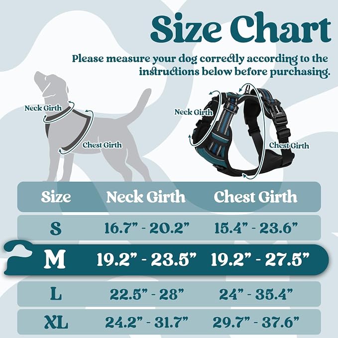rabbitgoo Dog Harness Medium Sized, Updated Easy On & Off with 3 Buckles | No Pull No Choke, Walking with 2 Clips and Handle, Adjustable Soft Reflective, Blue Coral, Medium