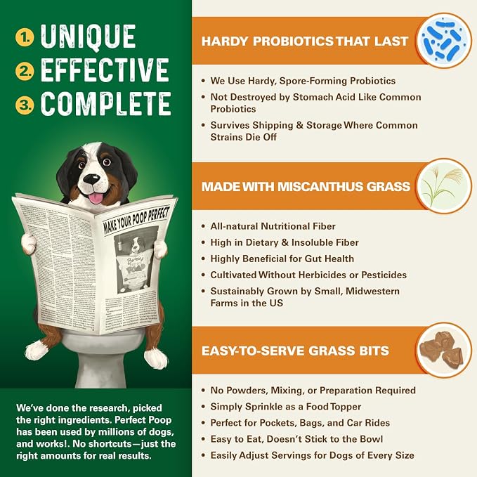 Bernie's Perfect Poop 4-in-1 Dog Digestion Supplement, Cheese, 12.8 oz