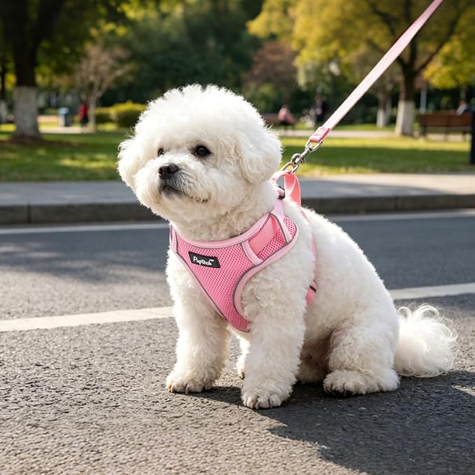 PUPTECK Dog Harness and Leash Set, No Pull Adjustable Pet Small Dog Harness, Reflective Soft Mesh Pet Vest, for Small Medium Dogs Walking, Pink, M