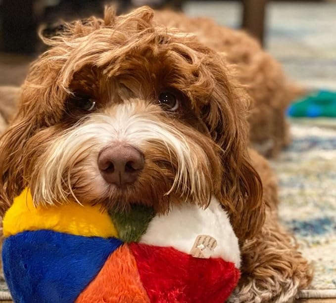 Fluff & Tuff Beach Ball Plush Dog Toy – 2 Pack, 7” Durable Stuffed Ball Toy with Squeaker, Double-Stitched & Reinforced for Interactive Play