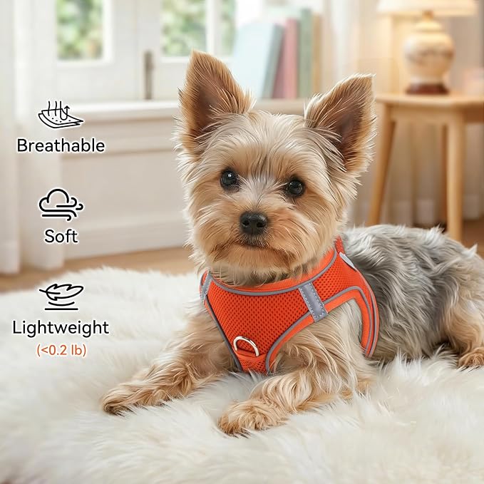Joytale Step-in Dog Harness, Soft Breathable Mesh, Orange M | Adjustable Fit for Small Dogs, Easy Step-in with Secure Fastener, Even Chest Pressure, Reflective For Night Safety, Washable
