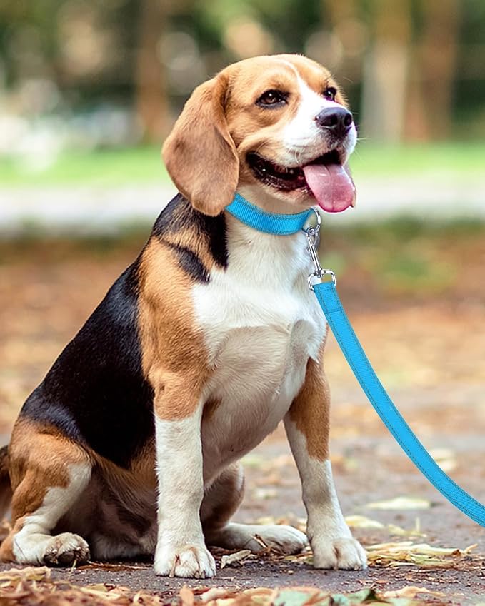 Taglory Reflective Dog Leash for Medium Large Dogs, 1in x 6ft, Sky Blue | Ideal for Night Walking, Strong for Sudden Pulls, Lightweight & Gentle on the Neck, Soft Padded Handle