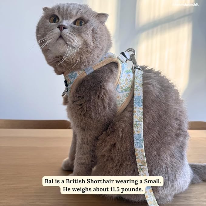 Lucy & Co. Sunshine and Daffodils Step-in Cat Harness and Leash Set Bundle, Reflective, Breathable & Adjustable Harness for Cats, Kittens & Small Dogs, Lightweight & Secure, Small