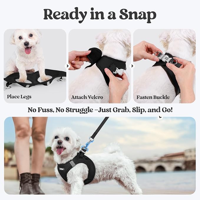 rabbitgoo Dog Harness Small Sized and Leash Set, Step-in Puppy Pet Vest | Light, Soft, Breathable Air Mesh, Easy on and Remove with Hook & Loop, Secure Reflective for Walking, Black M