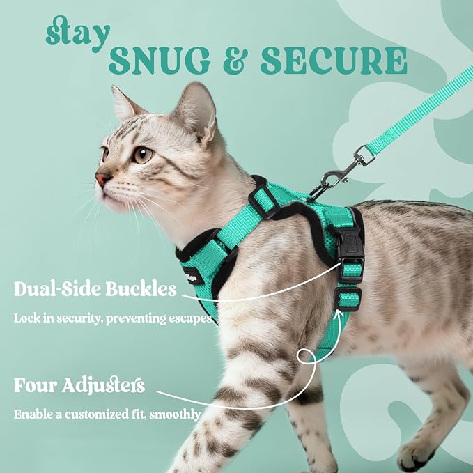 rabbitgoo Cat Harness and Leash Set, Escape Proof Vest, Emerald | Soft Breathable Mesh, Easy Adjustable Fit, Snap Buckles, Sturdy Clip, Reflective Strips, for Kittens & Small Cats Walks, Xxs