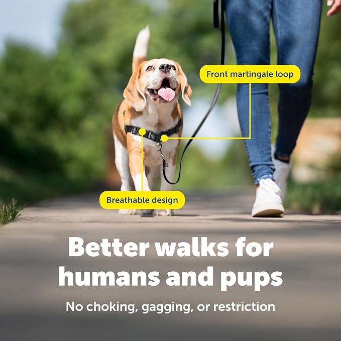 PetSafe Easy Walk No-Pull Dog Harness - Ultimate Harness to Help Stop Pulling - Pull-Free Walks - Take Control & Teach Better Leash Manners -Patented Martingale Loop Design -Charcoal Gray,Small/Medium