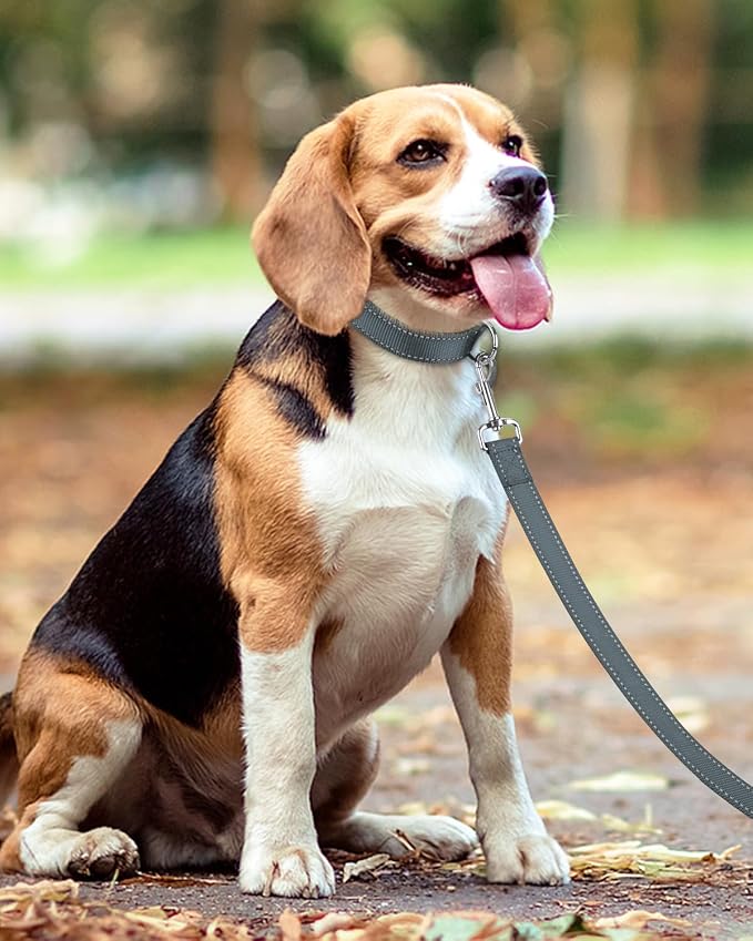 Taglory Reflective Dog Leash for Small Dogs, 3/4in x 6ft, Grey | Ideal for Night Walking, Strong for Sudden Pulls, Lightweight & Gentle on the Neck, Soft Padded Handle