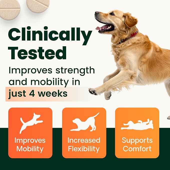 VetriScience Extra Strength Healthy Hip & Joint Chewable Tablets,GlycoFlex Glucosamine and Green-Lipped Mussel JointSupport Supplement for Dogs,Soothe-JointDiscomfort,Chicken,120 Count (Pack of 2)