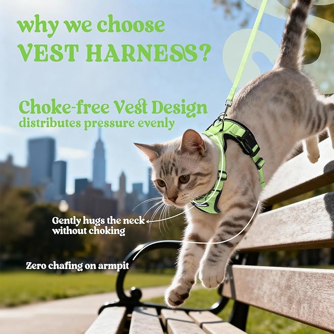 rabbitgoo Cat Harness and Leash Set, Escape Proof Vest, Light Green | Soft Breathable Mesh, Easy Adjustable Fit, Snap Buckles, Sturdy Clip, Reflective Strips, for Kittens & Small Cats Walks, Xxs