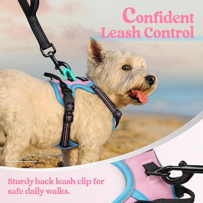 rabbitgoo Dog Harness, No Pull for Small Dogs with 2 Leash Clips, Pet Vest | No Choke with Handle, Adjustable Soft Padded, Reflective, Easy Control for Walking, Pink & Blue, X-Small