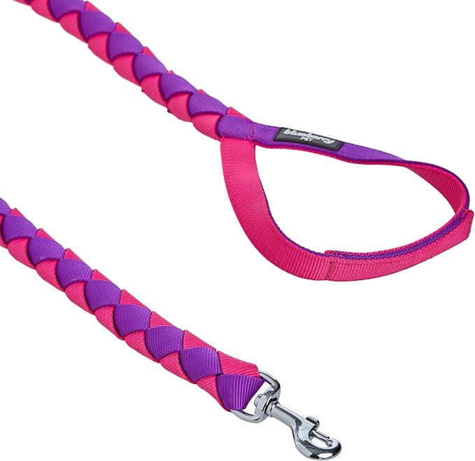 Blueberry Pet Iconic Double-Weave Handmade Dog Rope Leash, Cerise and Dark Purple, 4 ft, Strong Leashes for Dogs