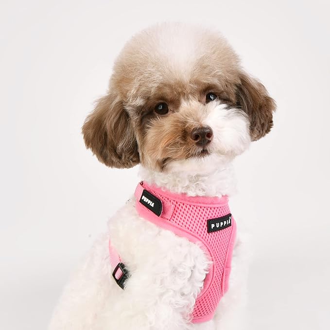 Puppia Soft Superior Dog Harness Air Mesh Over-The-Head All Season No Pull No Choke Walking Training Adjustable Neck & Chest for Small & Medium Dog - Pink - S