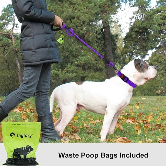 Taglory Rope Dog Leash for Medium Large Dogs, 4 FT Padded Handle, Purple | Climbing Rope for Strong Pullers, Reflective for Night Walks and Training, Comfortable Grip, Anti-tangle Swivel Clip 1/2 inch