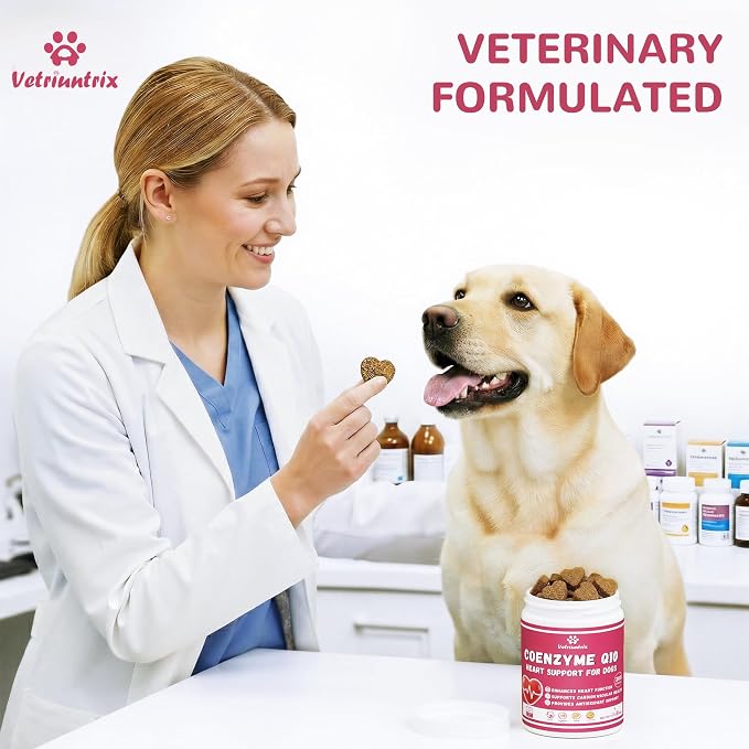 Heart Support Supplement for Dogs 400ct, Taurine for Senior & Puppy Dogs, Dog Multivitamin with CoQ10 & L-Carnitine for Heart, Cardiovascular & Antioxidant Support