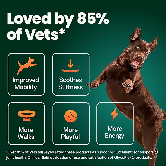 VetriScience Healthy Hip & Joint Chewable Tablets, GlycoFlex2 Glucosamine and Green-Lipped Mussel Joint Support Supplement for Dogs, Promote Mobility and Protect Joints, Chicken, 120 Count, 2 Pack