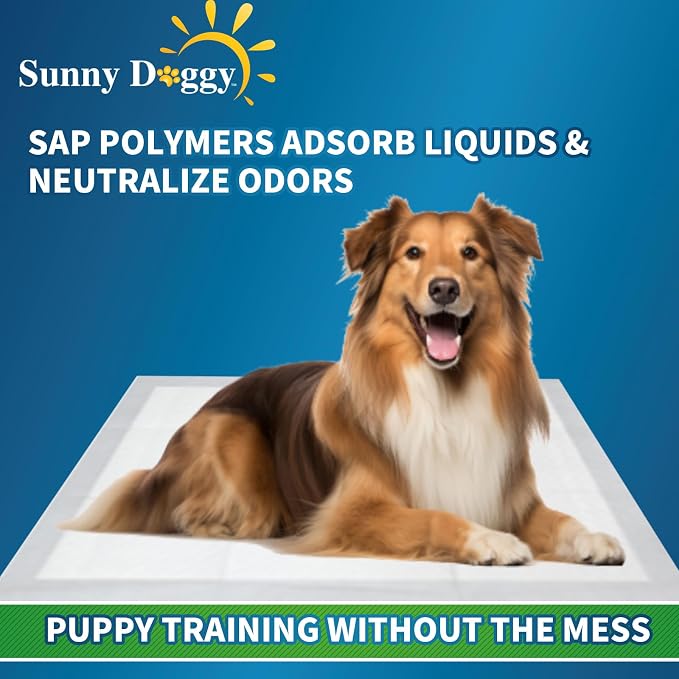Pee Pads for Dogs Large 30”x 36”, 50 Count Puppy Pads Pet Training Pads Disposable Upgraded Odor Control, Potty Pads Absorbent