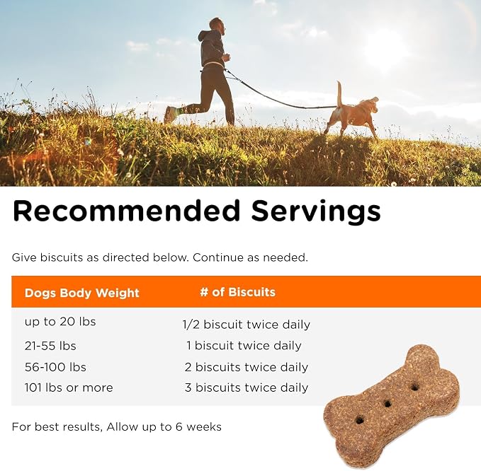 Nutri-Vet Skin & Coat Biscuits, Dog Fish Oil, Dog Skin Coat, 16oz (2 Pack)