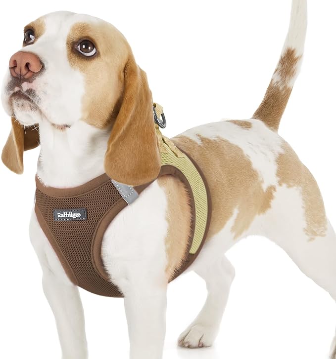 rabbitgoo Step-in Small Dog Harness, Puppy Vest for Small Sized Pet | Easy Put on and off, Lightweight, Soft, Breathable Quick-Dry Air Mesh for Comfortable Secure Walking, Brown & Beige M