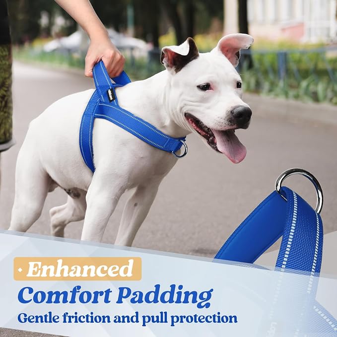 rabbitgoo Dog Harness No Pull, Quick Fit for Medium Sized Dog, Reflective | Chest Adjustable Pet Vest with Soft Padded Handle, No Choke Escape Proof for Walking Training, Blue M