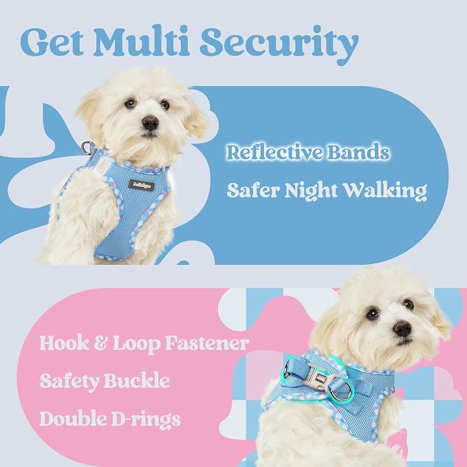 rabbitgoo Step-in Small Dog Harness, Puppy Vest for Small Medium Sized Pet | Easy Put on and off, Lightweight, Soft, Breathable Quick-Dry Air Mesh for Comfortable Secure Walking, Blue & Plaid Trim L