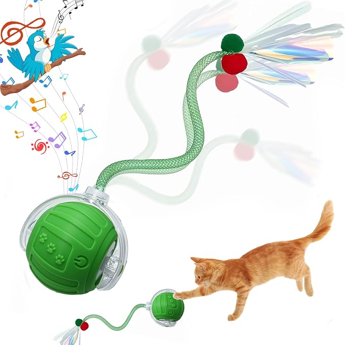 Interactive Cat Toys Ball for Indoor Cats, Automatic Self-Rolling, Motion-Activated, Bird Chirping Cats Dogs Ball Toy with Elastic Mesh Tail, Cat Enrichment Toys for Indoor Cats (Green)
