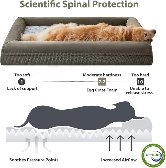 WNPETHOME Orthopedic Dog Bed - XXL Extra Large, 45x35x7in