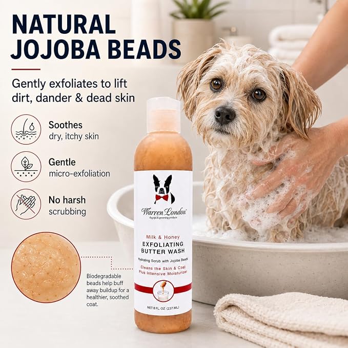 Warren London Exfoliating Butter Wash Dog Shampoo – Milk & Honey, 8 oz | Cleansing, Conditioning & Exfoliating Shampoo with Jojoba Beads for Dry Skin, Flakes, Soft Coat & Shine | Made in USA