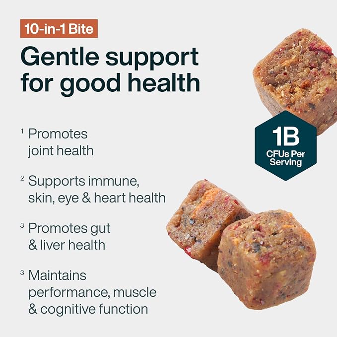 JustFoodForDogs 10-in-1 Supplement for Dogs, Dog Multivitamin Chews - 45 Ct | Human Grade Dog Supplement for Immune, Skin and Joint Health, Omega 3 for Dogs, Superfood Blend, Plant Based Dog Vitamins