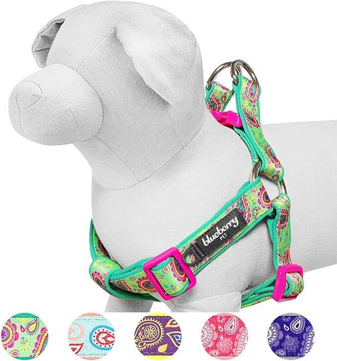 Blueberry Pet 5 Colors Soft & Comfy Step-in Paisley Flower Print Dog Harness, Chest Girth 19.5" - 25.5", Emerald Green, S/M, Adjustable Harnesses for Dogs
