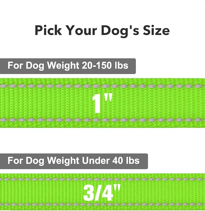 Taglory Reflective Dog Leash for Medium Large Dogs, 1in x 5ft, Neon Green | Ideal for Night Walking, Strong for Sudden Pulls, Lightweight & Gentle on the Neck, Soft Padded Handle