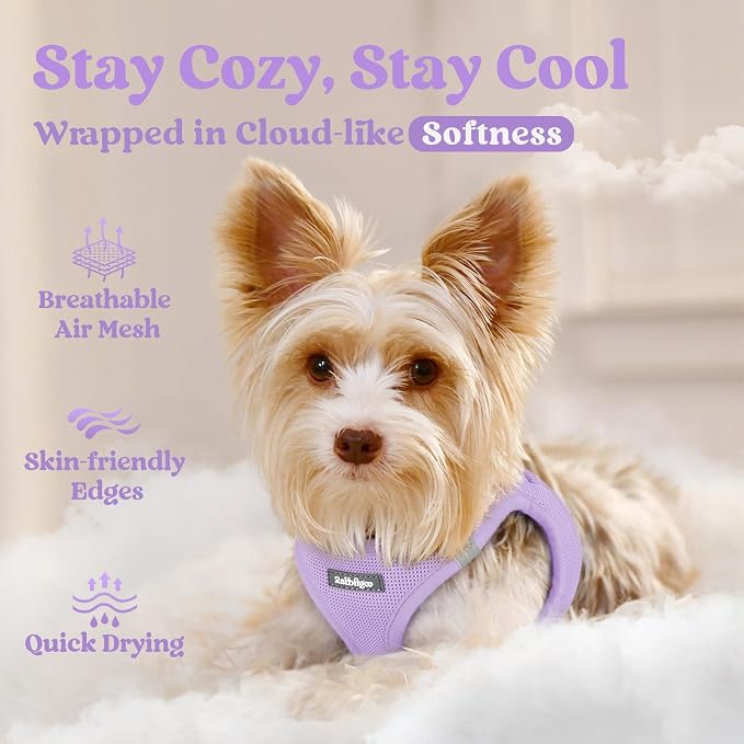 rabbitgoo Step-in Small Dog Harness, Puppy Vest for Small Sized Pet | Easy Put on and off, Lightweight, Soft, Breathable Quick-Dry Air Mesh for Comfortable Secure Walking, Light Purple XXS