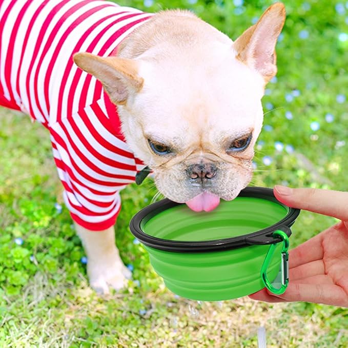 Dog Bowl Collapsible, 2 Pack, with Carabiners, Small, Blue+Green