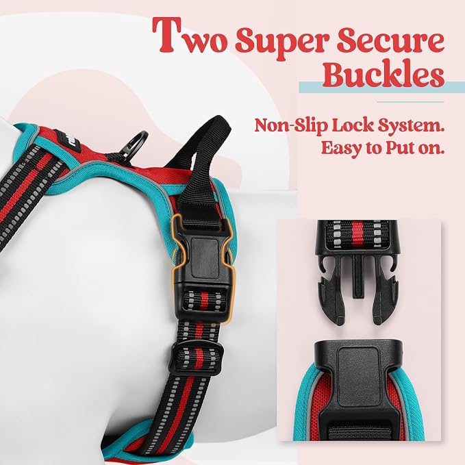 rabbitgoo Dog Harness, No Pull for Small Dogs with 2 Leash Clips, Pet Vest | No Choke with Handle, Adjustable Soft Padded, Reflective, Easy Control for Walking, Red & Teal, Small