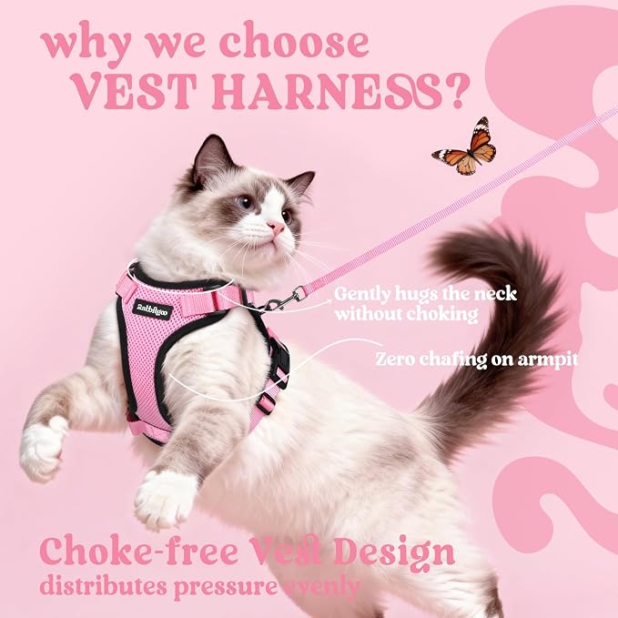 rabbitgoo Cat Harness and Leash Set, Escape Proof Vest, Pink | Soft Breathable Mesh, Easy Adjustable Fit, Snap Buckles, Sturdy Clip, Reflective Strips, for Medium to Large Cats Walks, M
