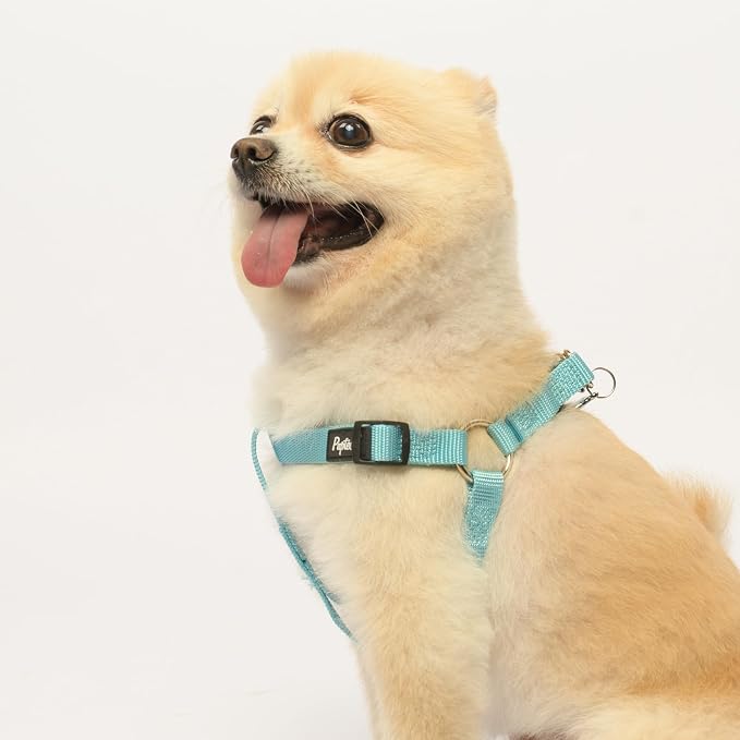 PUPTECK No Pull Dog Harness Small Sized Step-in Adjustable Puppy Vest | Soft Webbing Basic Halter with ID Tag for Outdoor Walking