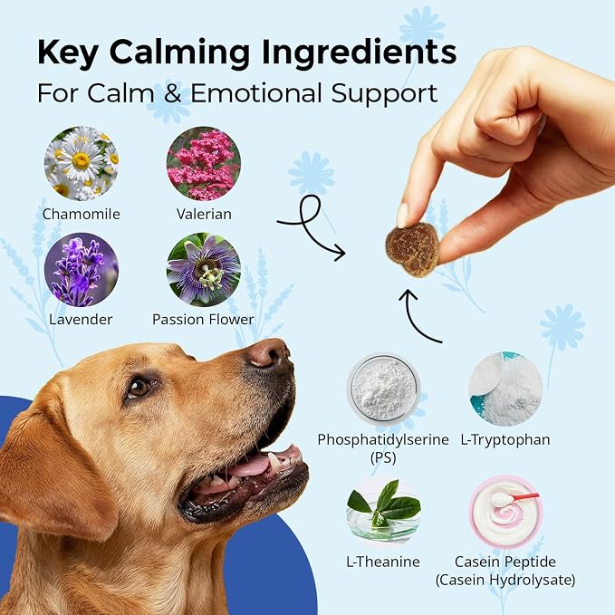Calming Chews for Dogs Chicken 120 Soft Chews