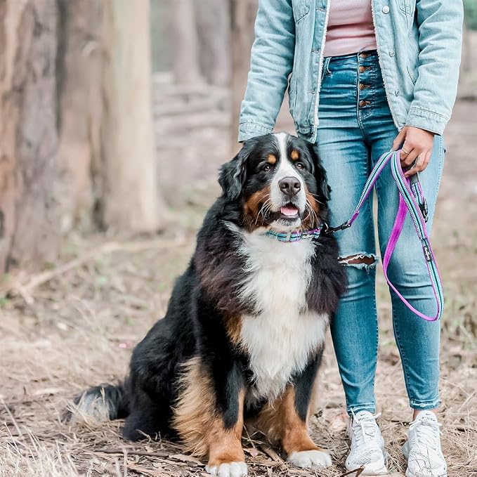 Blueberry Pet Dog Leash - Reflective, Strong & Comfortable | Pinch Collar for Dogs & Puppy Essentials | Heavy Duty Dog Leashes for Large & Medium Size | Gentle Leader Products