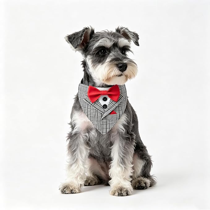 Dog Tuxedo Costumes Wedding Outfit, Medium, Gray