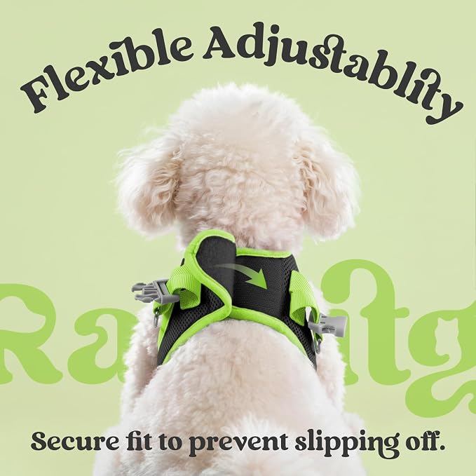 rabbitgoo Dog Harness Small Sized and Leash Set, Step in Soft Vest | Breathable Mesh, Easy Wear with Hook & Loop, Light and Reflective for Walking, Multi-colored, Black & Green, L