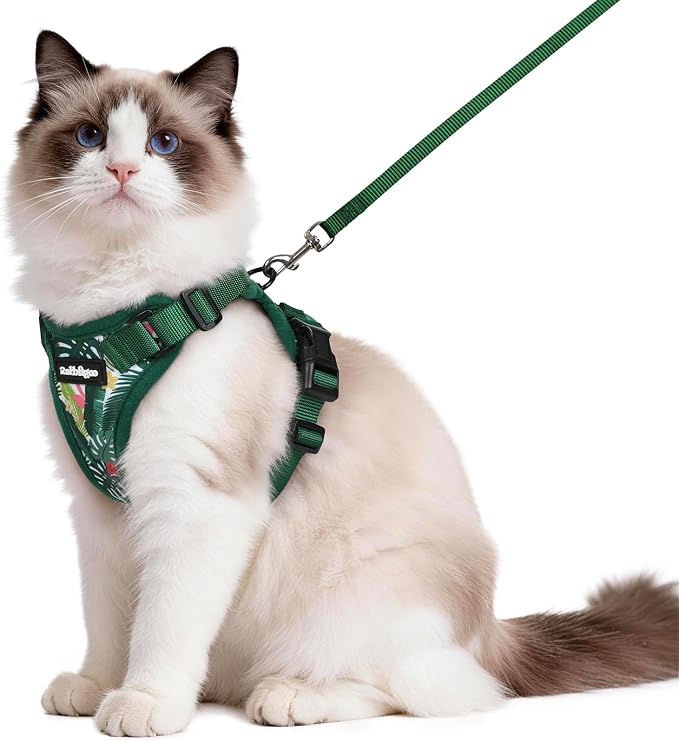 rabbitgoo Cat Harness and Leash Set, Escape Proof Vest, Rainforest Green | Soft Breathable Mesh, Easy Adjustable Fit, Snap Buckles, Sturdy Clip, Reflective Strips, for Medium to Large Cats Walks, M