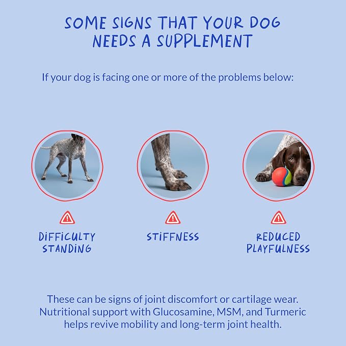 Hip & Joint for Dogs - Collagen, Glucosamine & Green Lipped Mussel