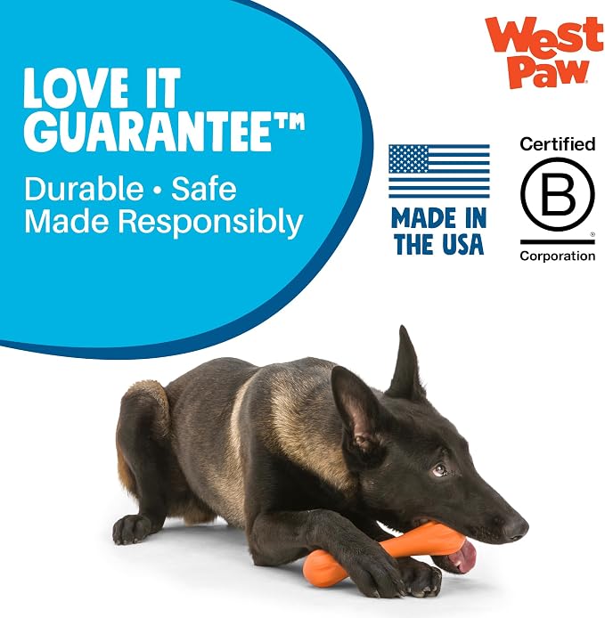 WEST PAW Zogoflex Hurley Dog Bone Chew Toy – Floatable Pet Toys for Aggressive Chewers, Catch, Fetch – Bright-Colored Bones for Dogs – Recyclable, Dishwasher-Safe, Non-Toxic, Large, Aqua