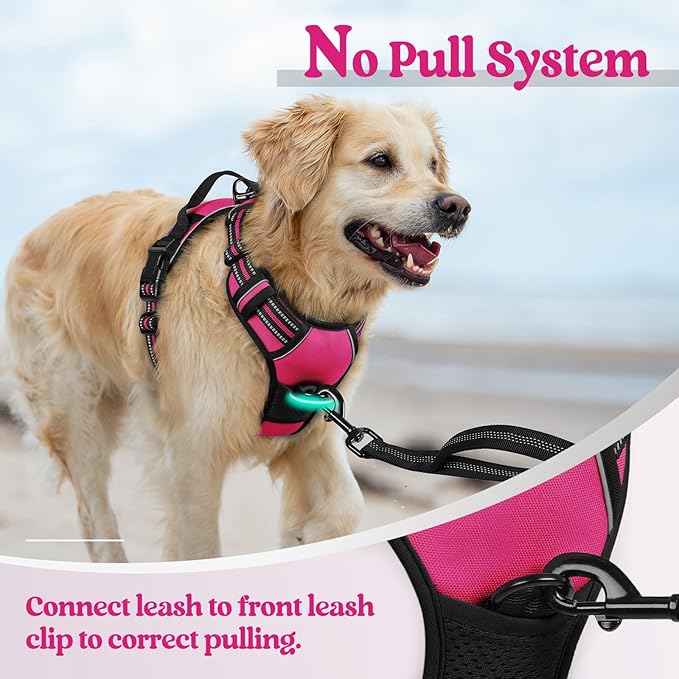 rabbitgoo Dog Harness, No Pull Medium Sized with 2 Leash Clips, Pet Vest | No Choke with Handle, Adjustable Soft Padded, Reflective, Easy Control for Walking, Hot Pink, Medium