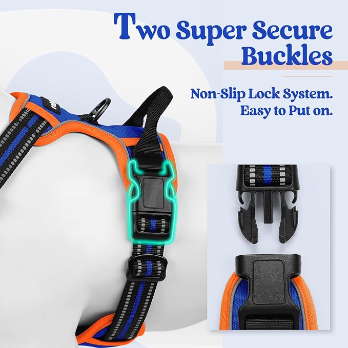 rabbitgoo Dog Harness, No Pull for Small Dogs with 2 Leash Clips, Pet Vest | No Choke with Handle, Adjustable Soft Padded, Reflective, Easy Control for Walking, Blue & Orange, Small