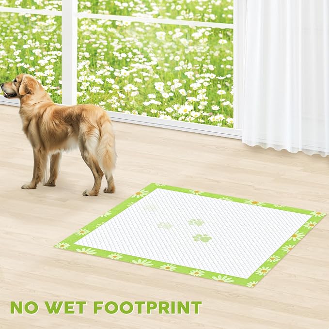 CROCI Dog Pads Lavender Scented 36x36in 30 Counts, Daisy Scented 30x36in 40 Counts