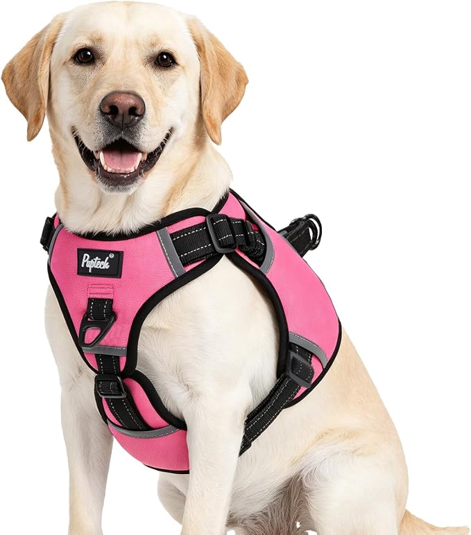 PUPTECK Dog Harness for Large Dogs, No Pull Step-in Pet Vest Harness, Adjustable Soft Padded Reflective Safe Night Walking, No Choke Easy On & Off, Fuchsia L