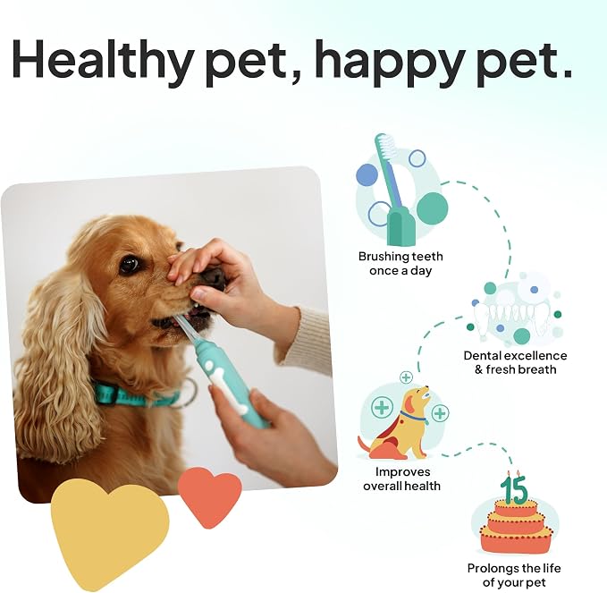 Dog Toothbrush Replacement Heads | 2 Pack | Replace Every Three Months | Reduces Bad Breath | Compatible with Petsie Toothbrush Only (White, Large Dogs)