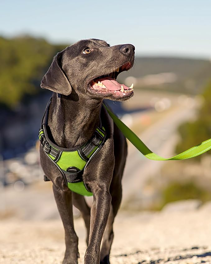 Joytale No Pull Dog Harness for Large Dogs, Front Clip, Green | Grab Handle for Instant Control, Padded & Adjustable Vest, Sturdy Metal D-Rings, for Safe Training & Daily Walking