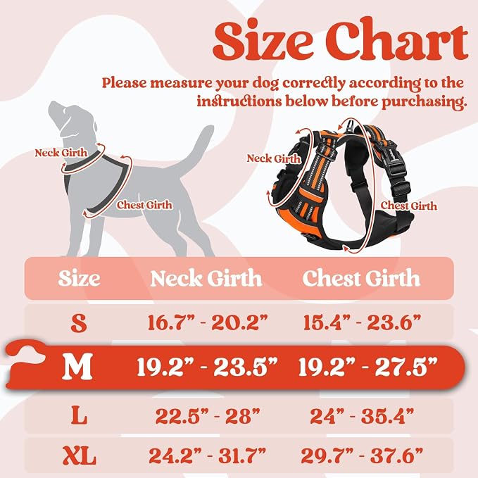 rabbitgoo Dog Harness Medium Sized, Updated Easy On & Off with 3 Buckles | No Pull No Choke, Walking with 2 Clips and Handle, Adjustable Soft Reflective, Orange, Medium